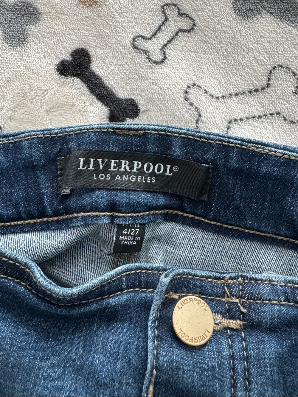 Liverpool Jeans Company Dark Indigo Skinny Jeans